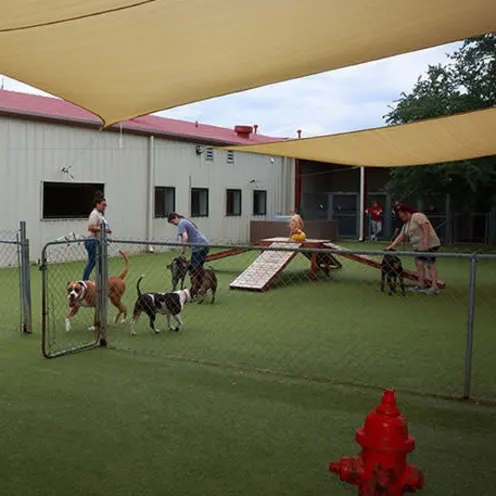 Dog playground at Happy Tails Pet Resort 